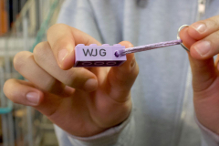 wjg-nettetal-gemeinschaft-schulpflegschaft-003