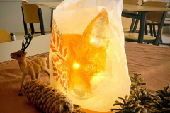 wjg-nettetal-gemeinschaft-schulpflegschaft-005